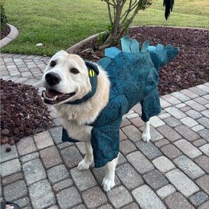 Chewy | Dog Stegosaurus Halloween Costume Size XXL